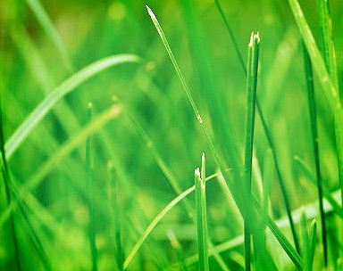 网页在线DDOS压力测试